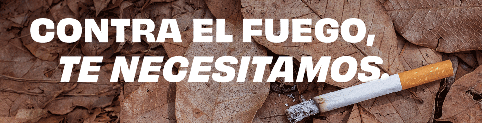  banner Campaña INFOMUR2025