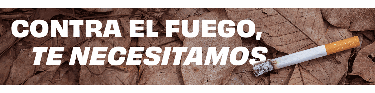 banner Campaña INFOMUR 2025